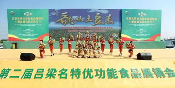 嵐縣土豆香飄汾州 特色產品推介與民俗文化展演共慶豐收